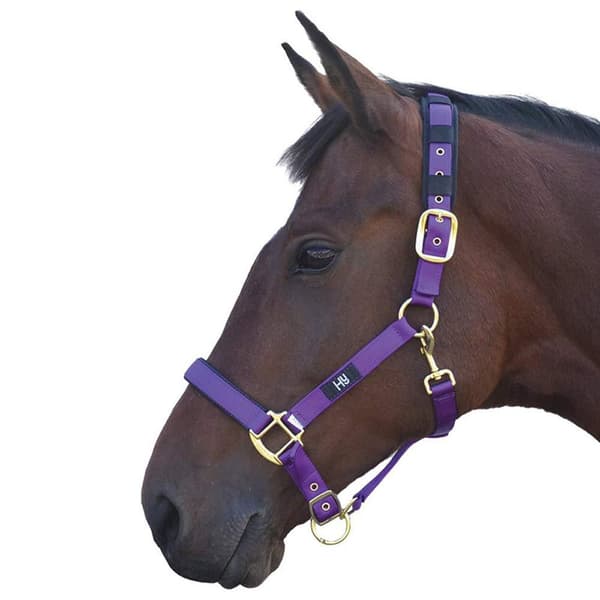 Hy Deluxe Padded Head Collar