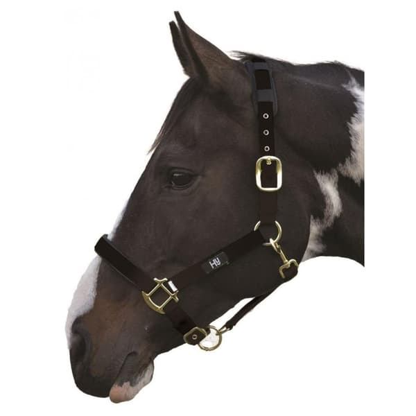 Hy Deluxe Padded Head Collar