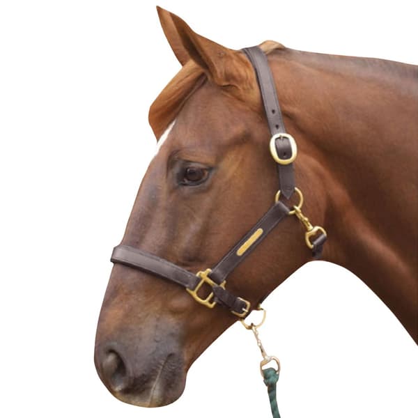 Hy Leather Head Collar