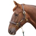Pikkukuva 2 / 2: Hy Leather Head Collar