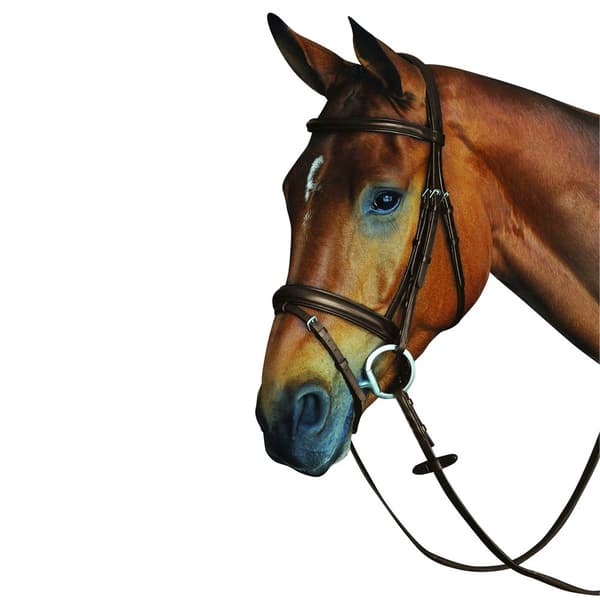 Collegiate Comfort Crown Padded Raised Leather Flash Bridle Brown Pony