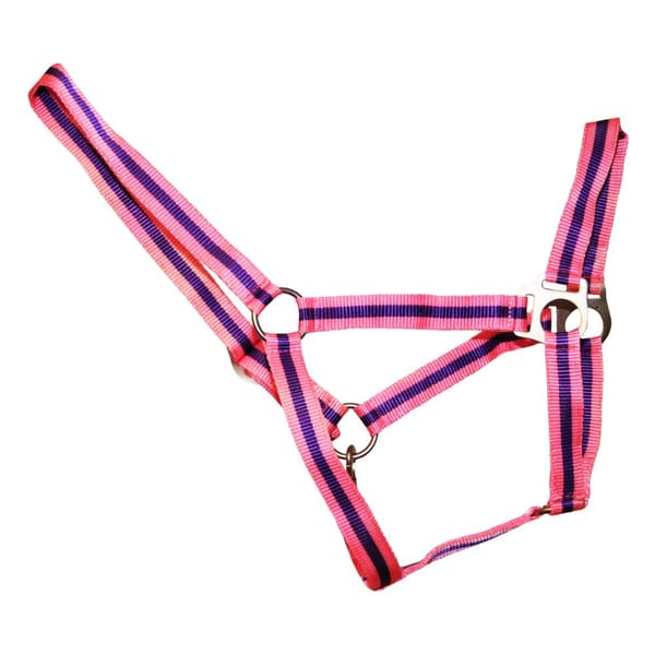Hy Duo Head Collar