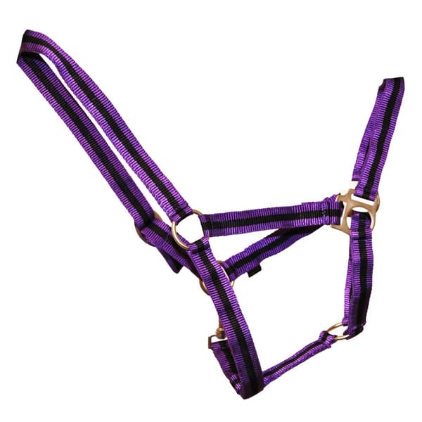Hy Duo Head Collar