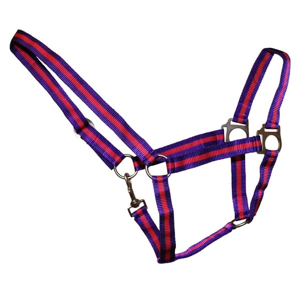 Hy Duo Head Collar
