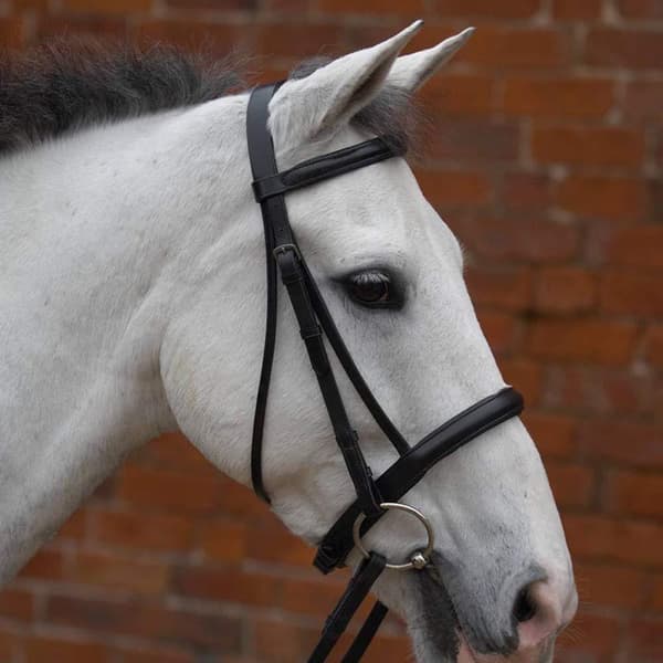 Hy Padded Cavesson Bridle with Rubber Grip Reins