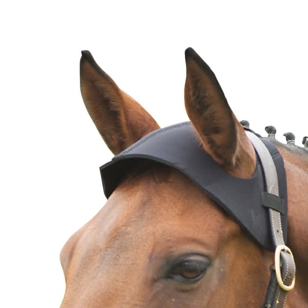 Hy Poll Guard
