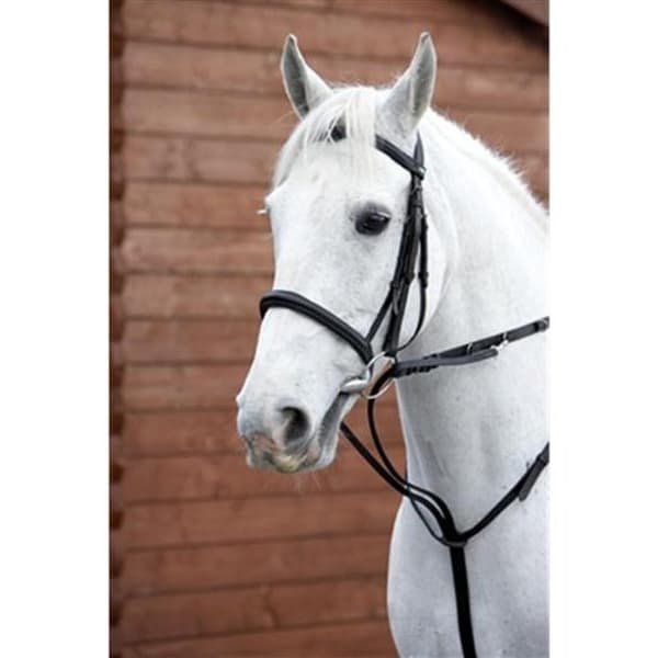 Hy Market Harborough Brown Cob/Full