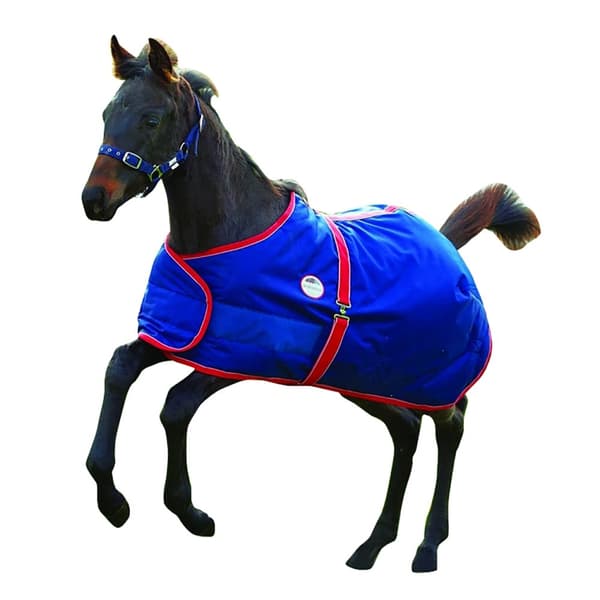 Weatherbeeta 1200d Foal Standard Neck Rug