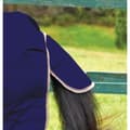 Miniatyrbillede 2 af 5: Weatherbeeta Comfitec Lite Plus Essential Combo Neck Turnout Rug