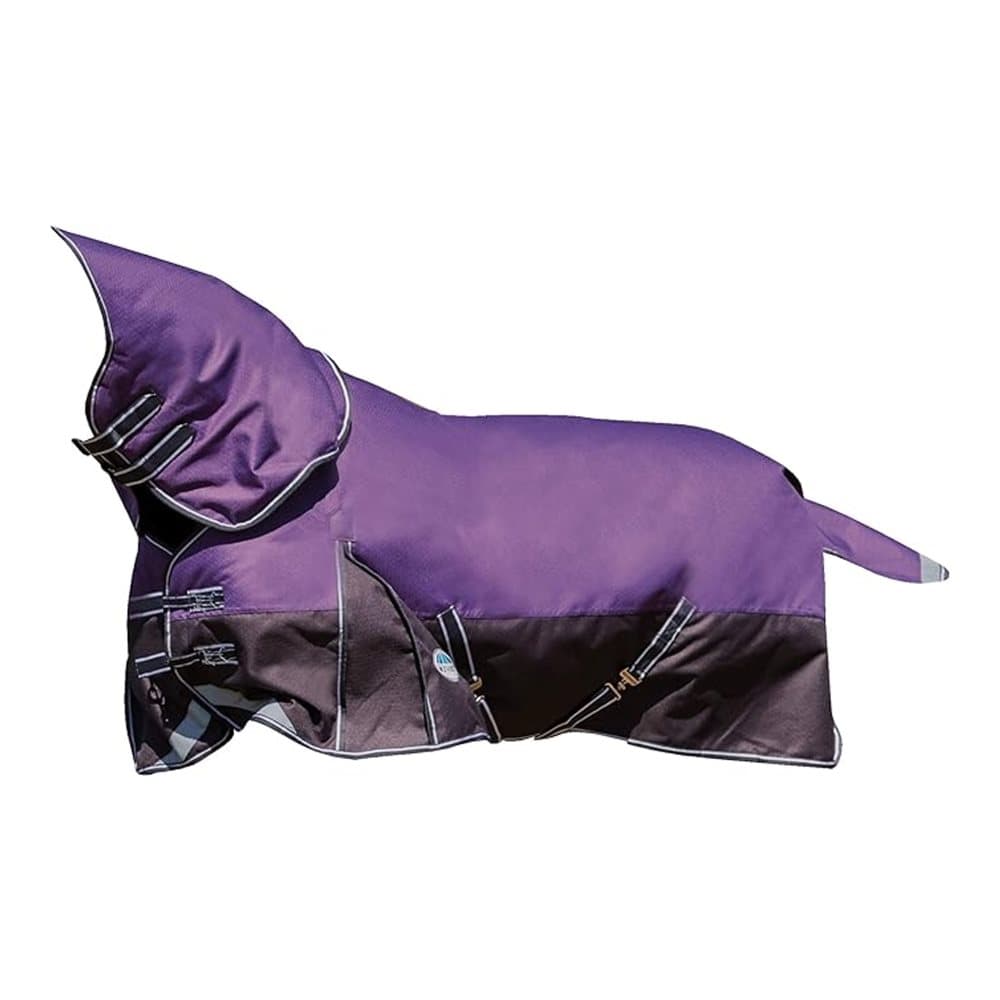 Weatherbeeta Comfitec Plus Medium/Lite Dynamic Combo Neck Rug