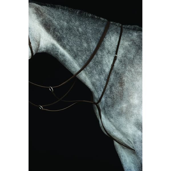 Collegiate Læder Running Martingale IV