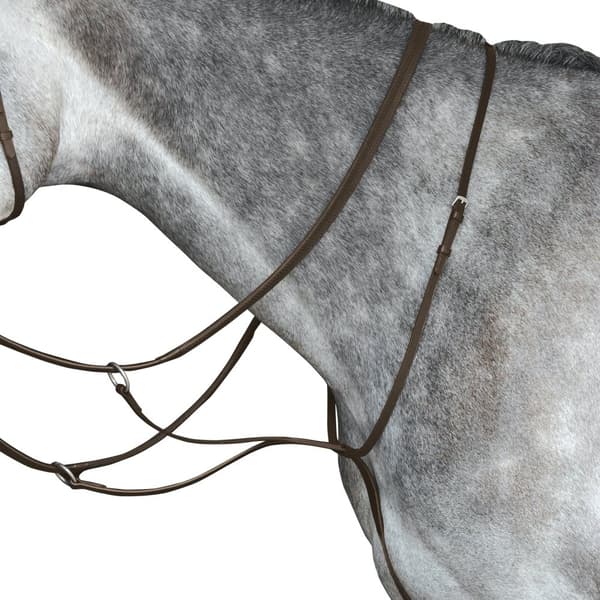 Collegiate Læder Running Martingale IV