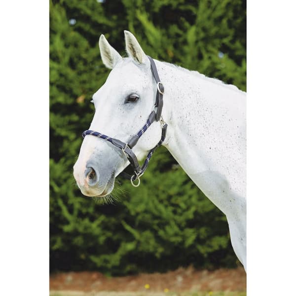 Kincade Läder Rope Headcollar
