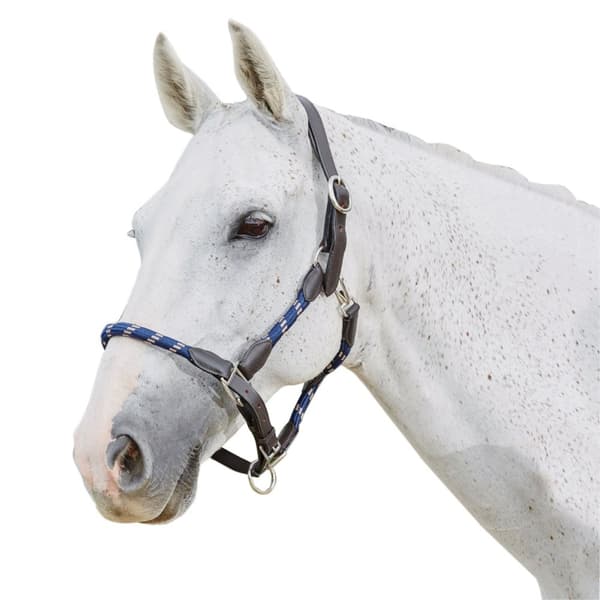 Kincade Läder Rope Headcollar