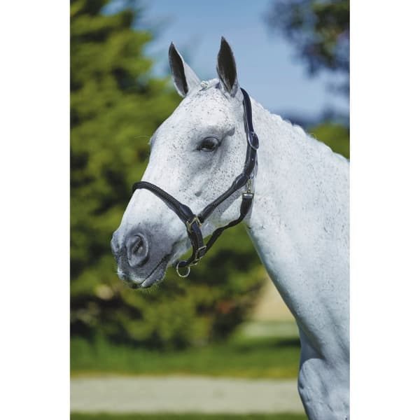 Kincade Läder Rope Headcollar