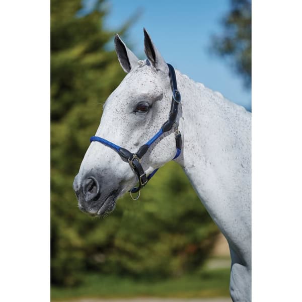 Kincade Läder Rope Headcollar