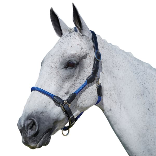 Kincade Läder Rope Headcollar