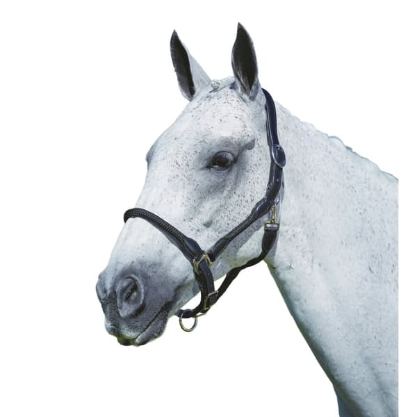 Kincade Läder Rope Headcollar