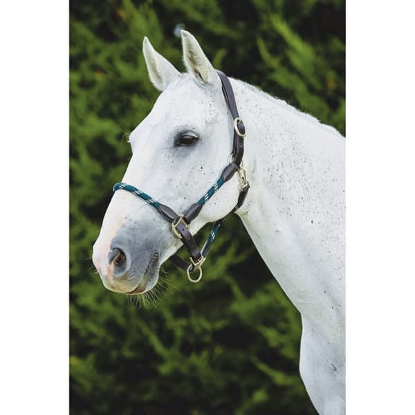 Kincade Läder Rope Headcollar