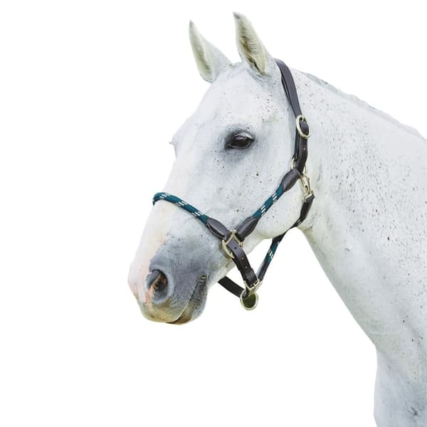 Kincade Läder Rope Headcollar