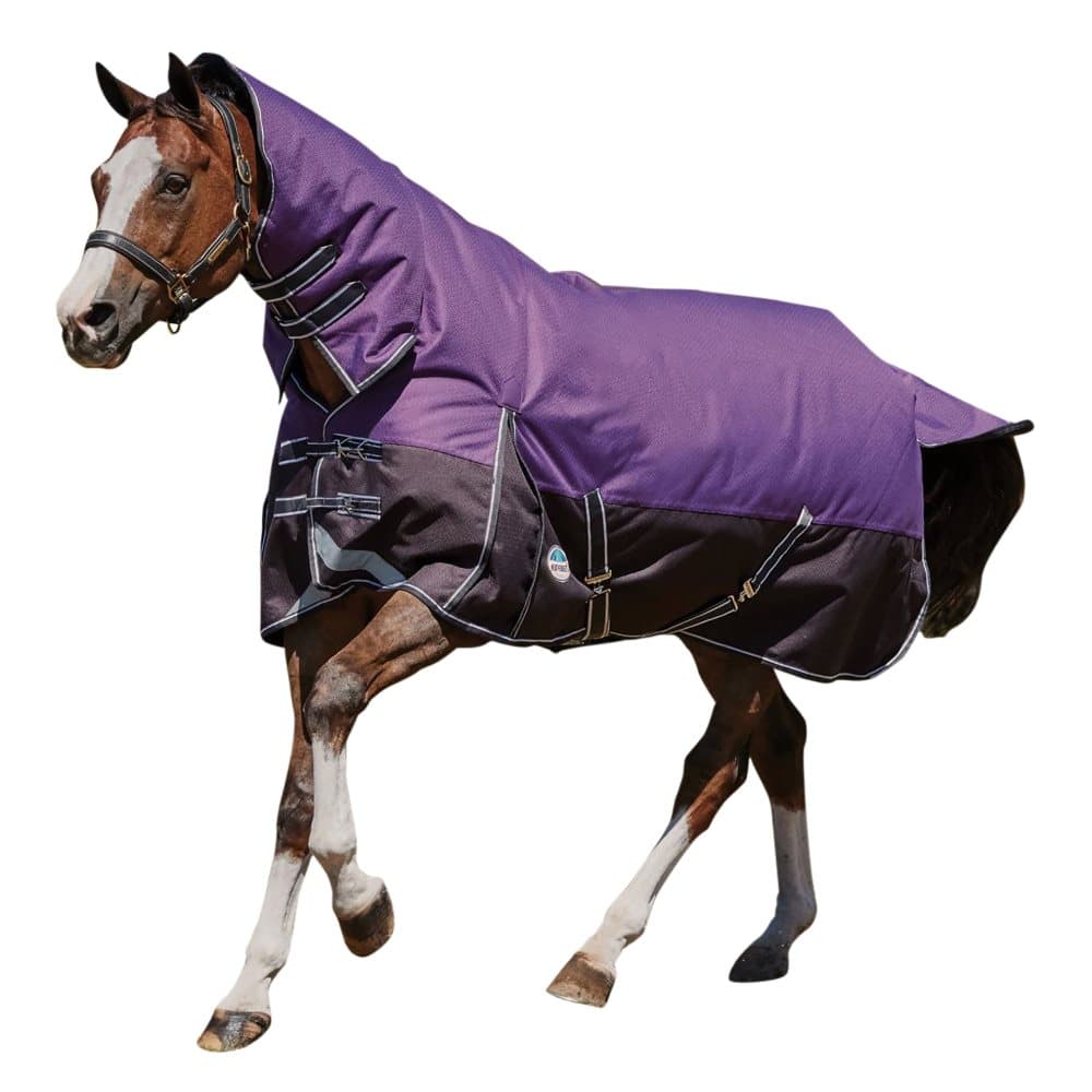 Weatherbeeta Comfitec Plus Lite Dynamic Combo Neck Turnout Rug