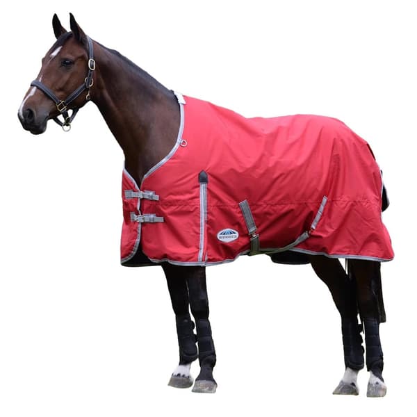 Weatherbeeta Comfitec Classic Standard-Neck 220g Horse Turnout Rug
