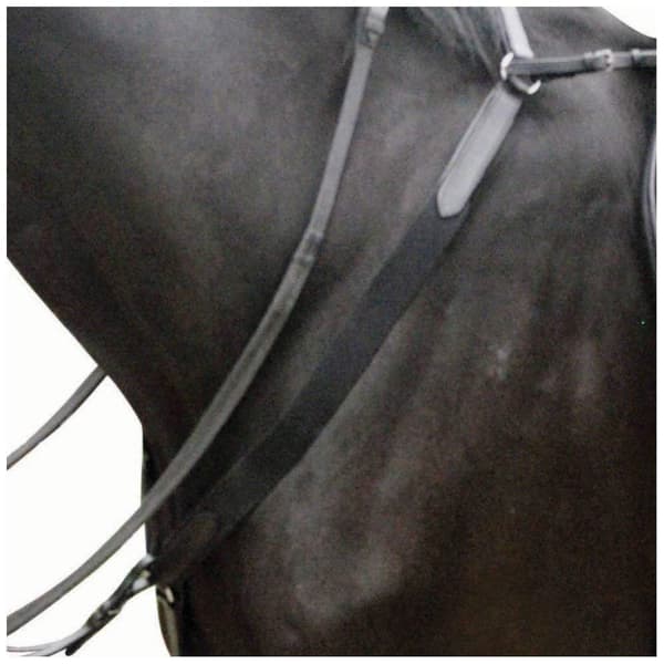 Kincade Leather Breastplate Black Full
