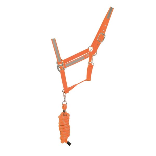 HyVIZ Reflector Head Collar and Lead Rope