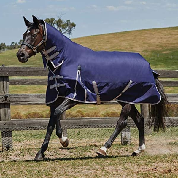 Weatherbeeta Comfitec Lite Essential Combo Neck Turnout Rug