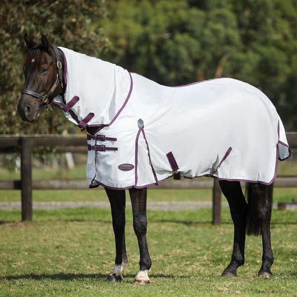 Weatherbeeta Comfitec Essential Mesh II Combo hals Turnout Matta