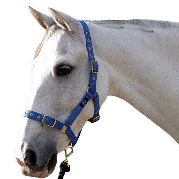 Hy Holly Fully Adjustable Head Collar