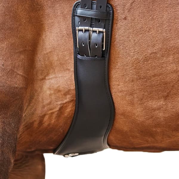 Collegiate Anatomic Girth