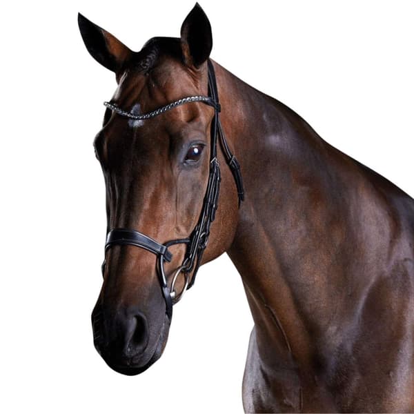 Collegiate Comfitec Crystal Læderbroderi Black Warmblood