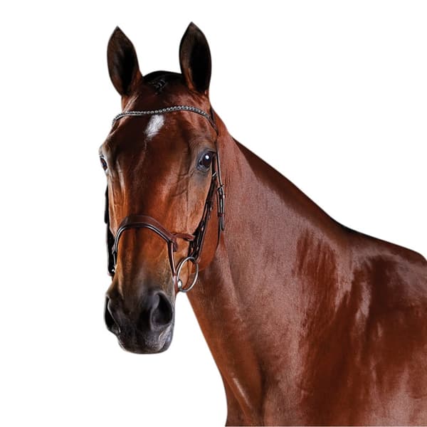 Collegiate Comfitec Crystal Læderbroderi