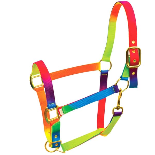 Roma Rainbow Headcollar Rainbow Pony