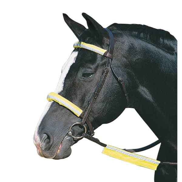Roma Reflective Bridle Kit Yellow One Size