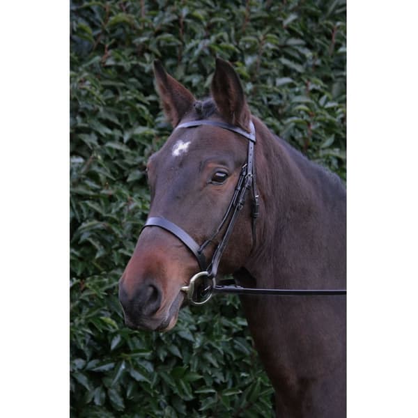 Hy Hunter Leather Bridle with Rubber Grip Reins