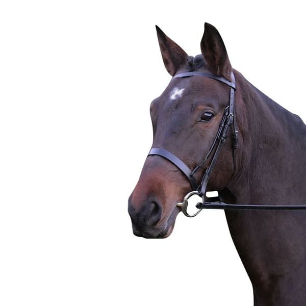 Hy Hunter Leather Bridle with Rubber Grip Reins