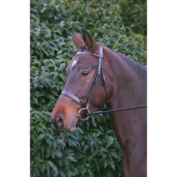 Hy Hunter Leather Bridle with Rubber Grip Reins