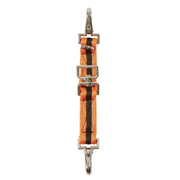 Kincade Brights Two Tone Lunging Attachment