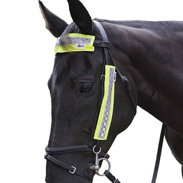 HyVIZ Bridle Set (3 Piece Set)