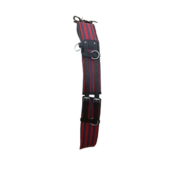 Hy Training Roller Blue/Red Cob