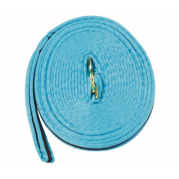 Kincade Brights Two Tone Padded Lunging Rein