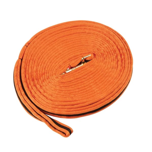 Kincade Brights Two Tone Padded Lunging Rein