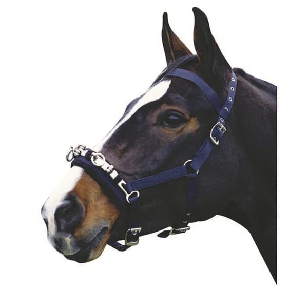 Kincade Koordineret lungekavesson Navy Full
