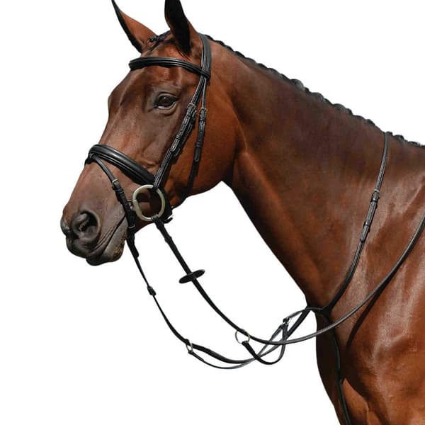 Collegiate Syntovia+ Almindelig flad løbe Martingale
