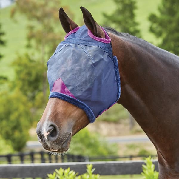 Weatherbeeta Comfitec slitstark mask Navy/Purple Pony