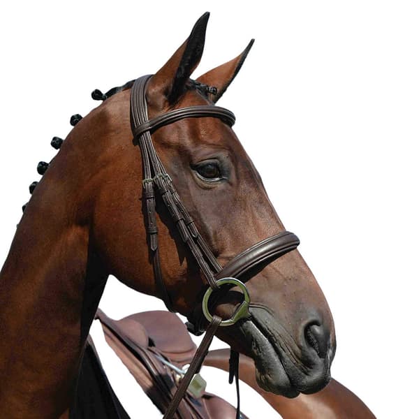 Collegiate Syntovia+ vadderad upphöjd kavessonbröstning Brown Pony