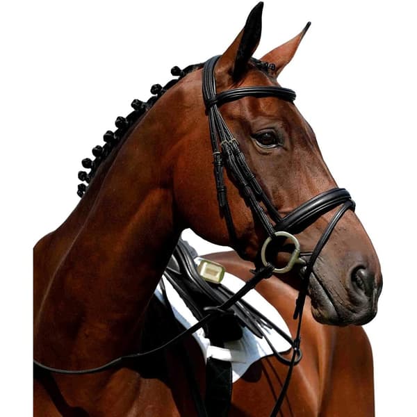 Collegiate Syntovia+ polstret, hævet flash-bidestyr Brown Warmblood