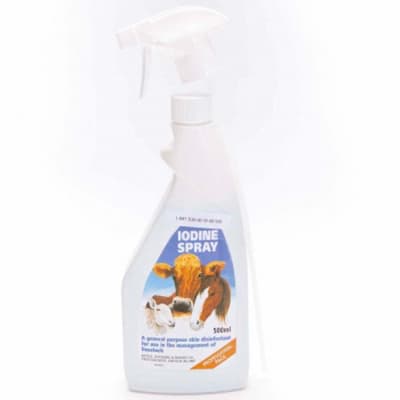 Battles Iodine Spray Liquid